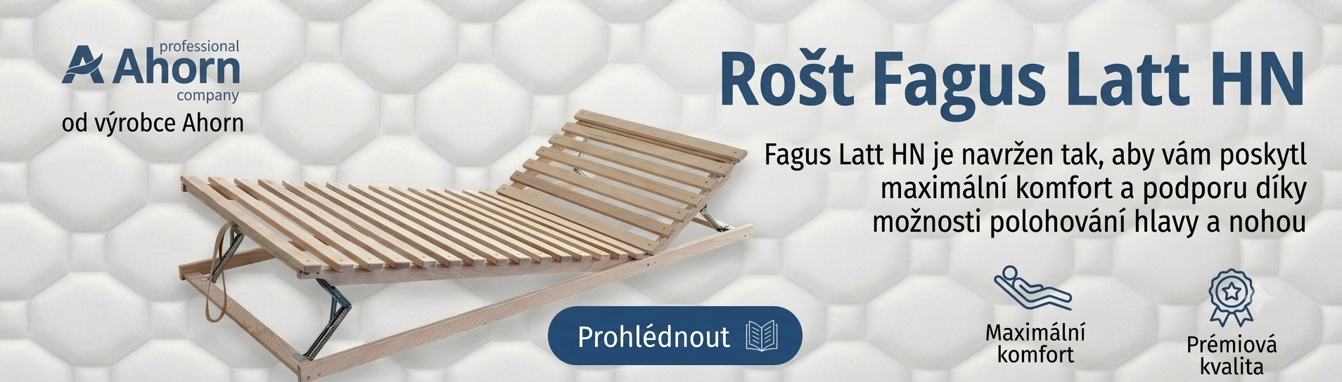 Fagus HN